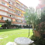Disa